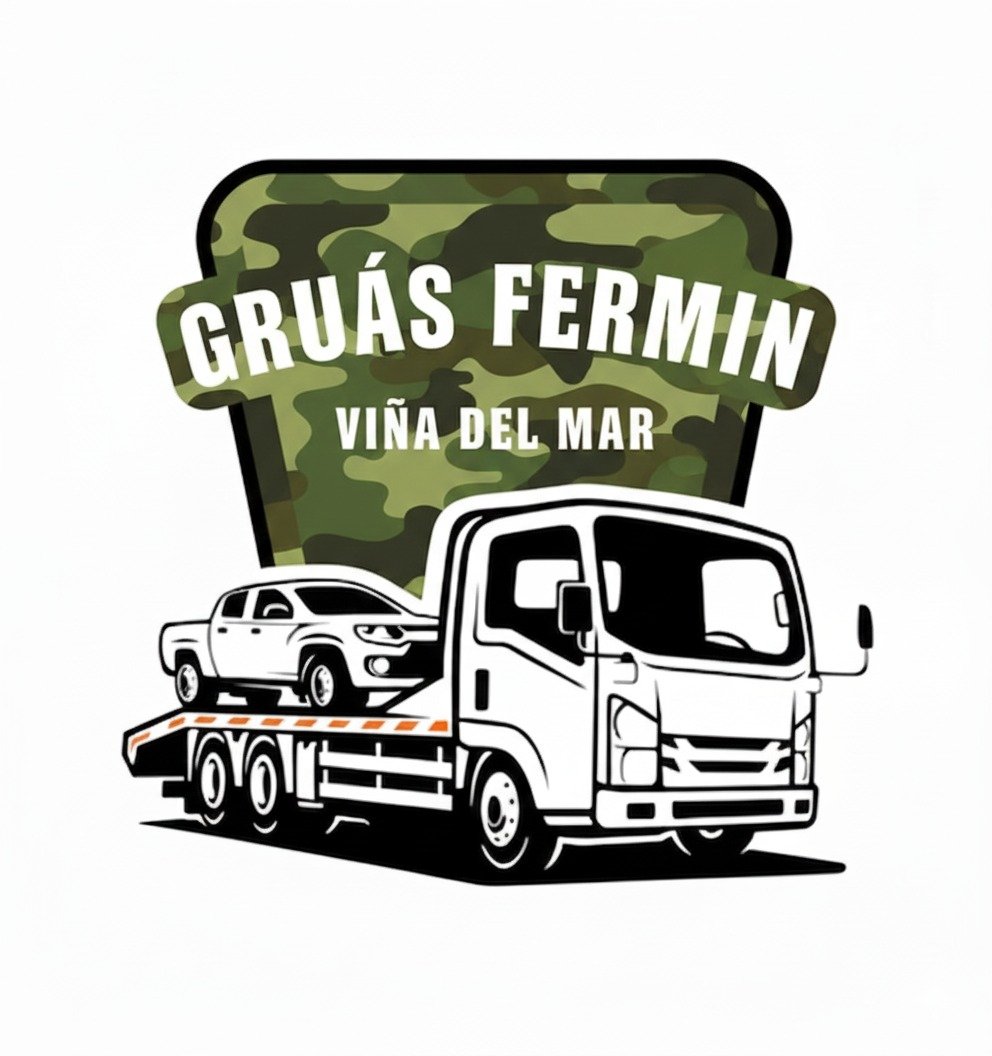 Gruas Fermin